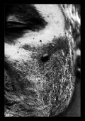 Izzy Wallace-Iles 3 - Photographic Print