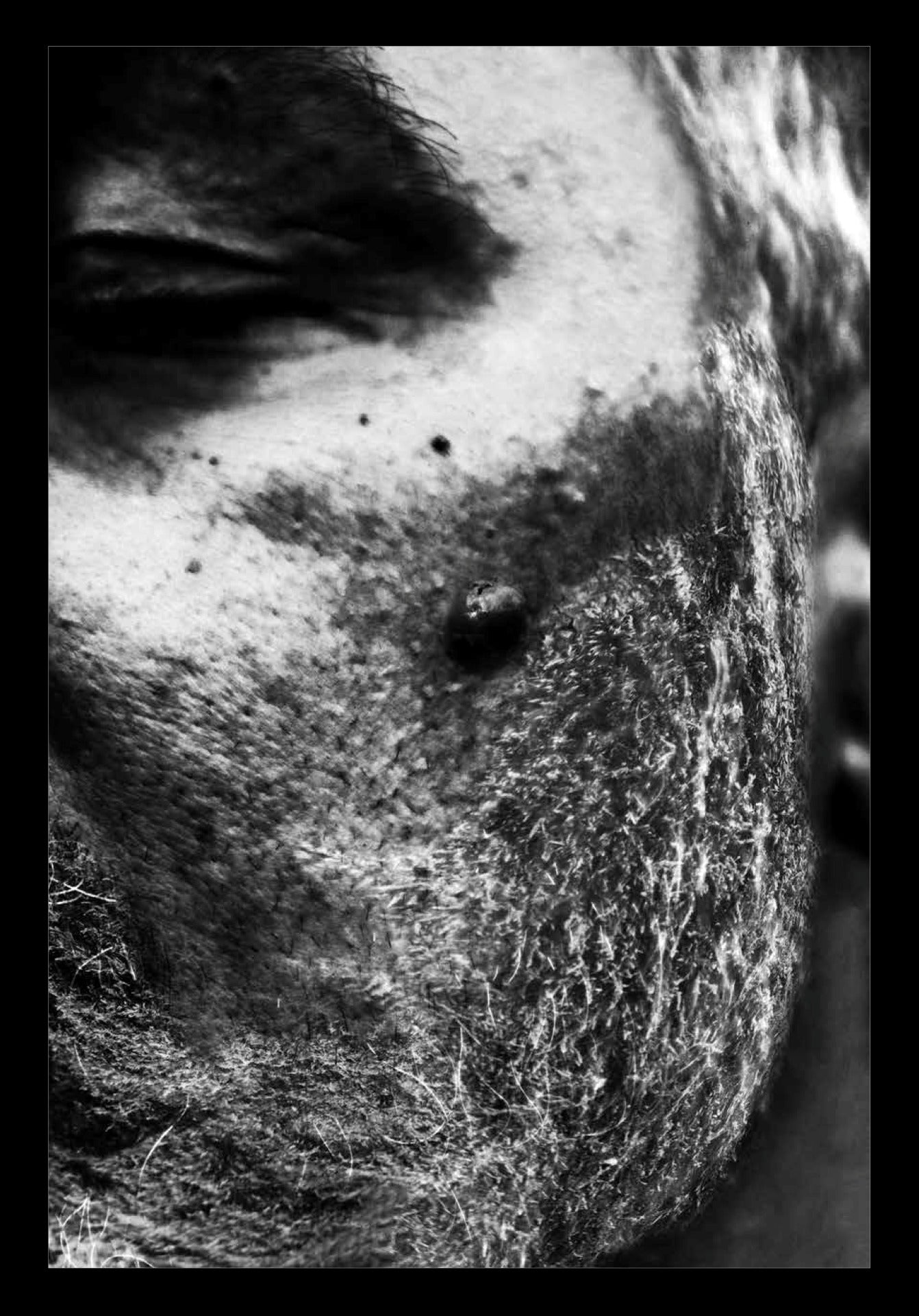 Izzy Wallace-Iles 3 - Photographic Print
