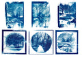 Lola Bethell - Photographic Print