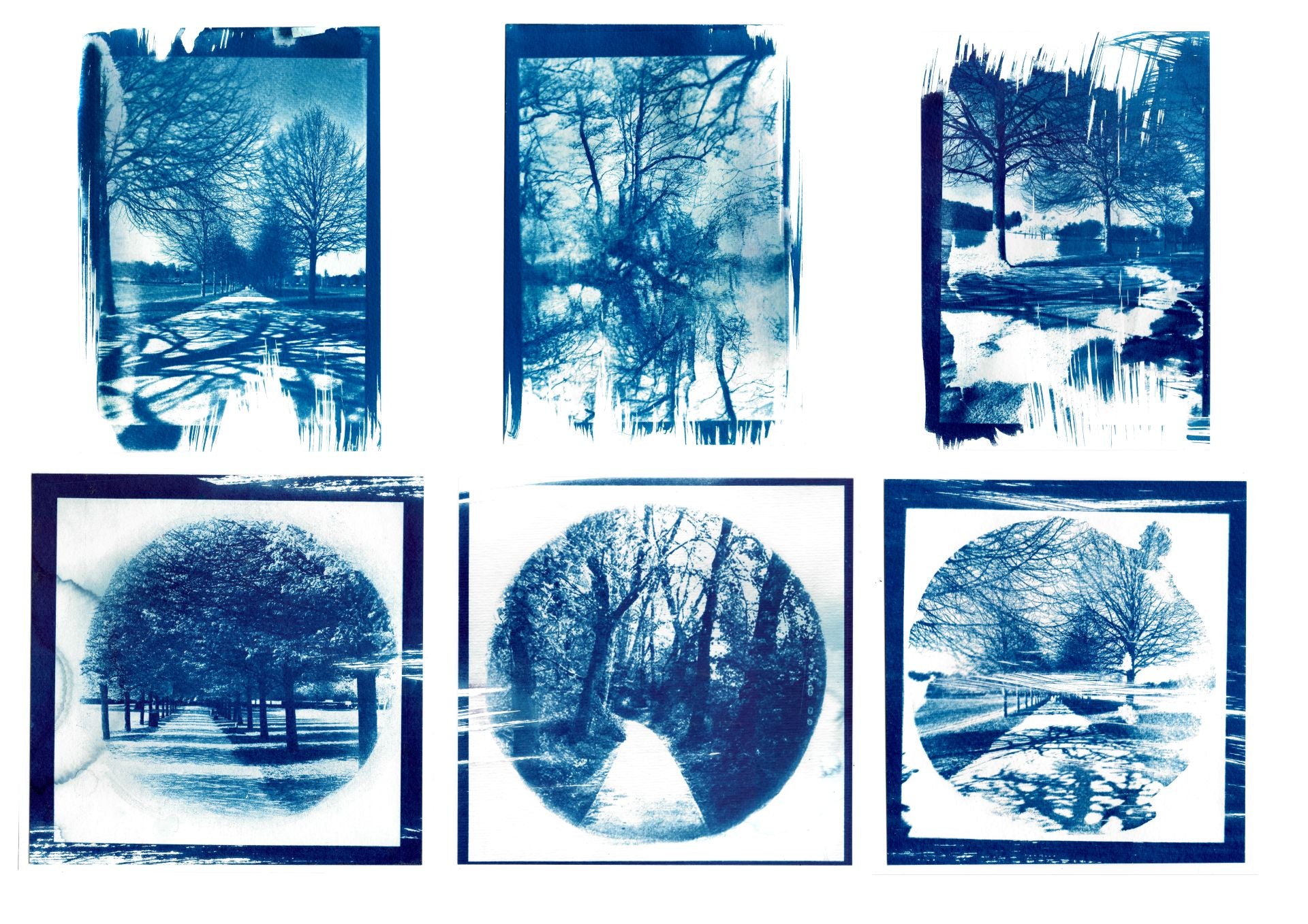 Lola Bethell - Photographic Print