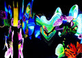 Molly Edwards - Fine Art Print