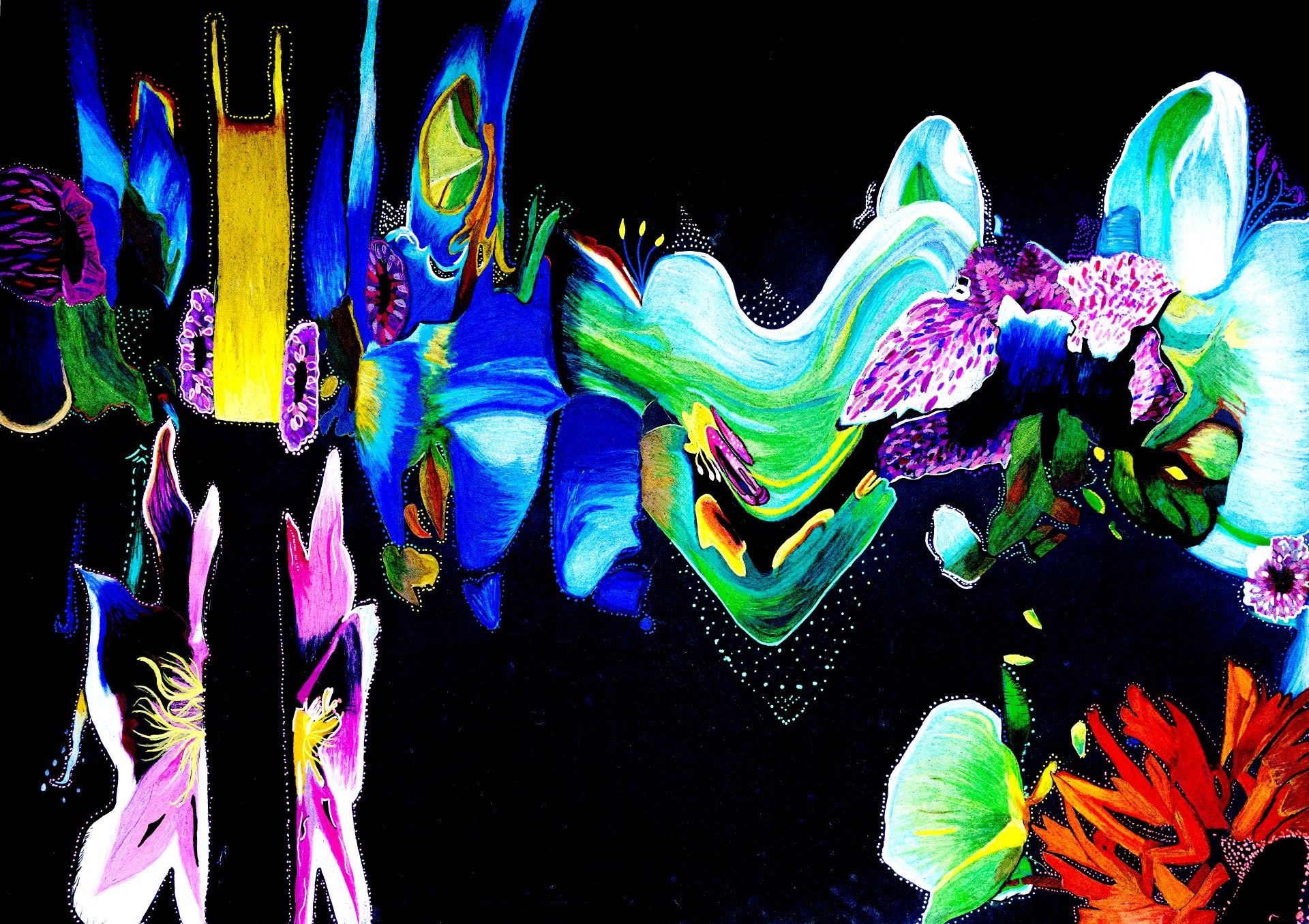 Molly Edwards - Fine Art Print